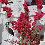 Stefanos Katsaros