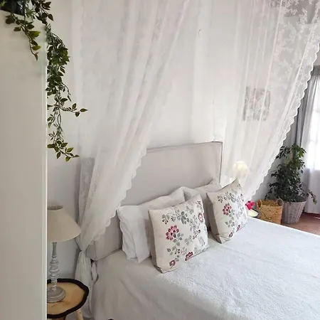 Apartment Stefanos Katsaros *