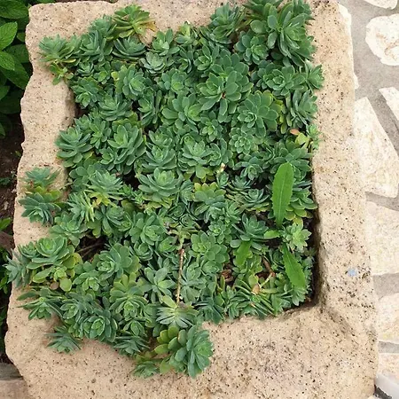 Apartamento Stefanos Katsaros Skala